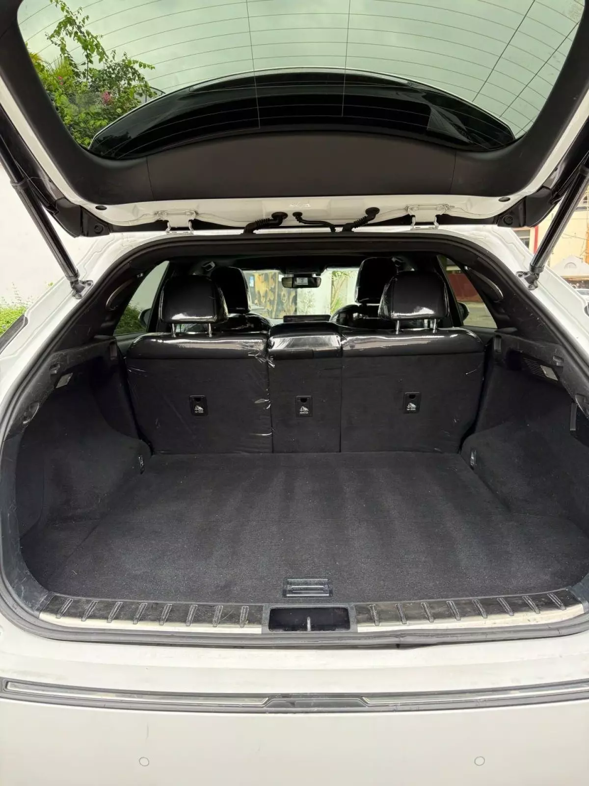 trunk