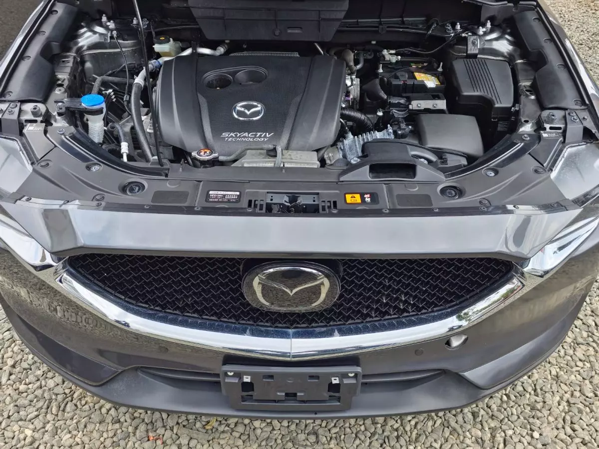 bonnet