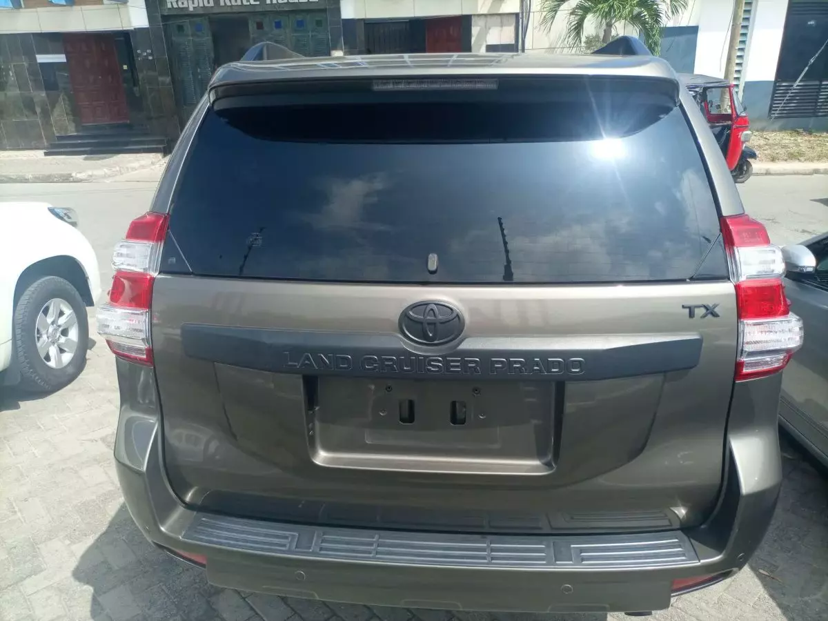 car Back