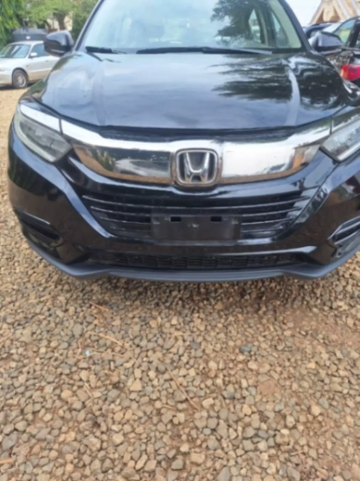 Honda Spike  - 2019