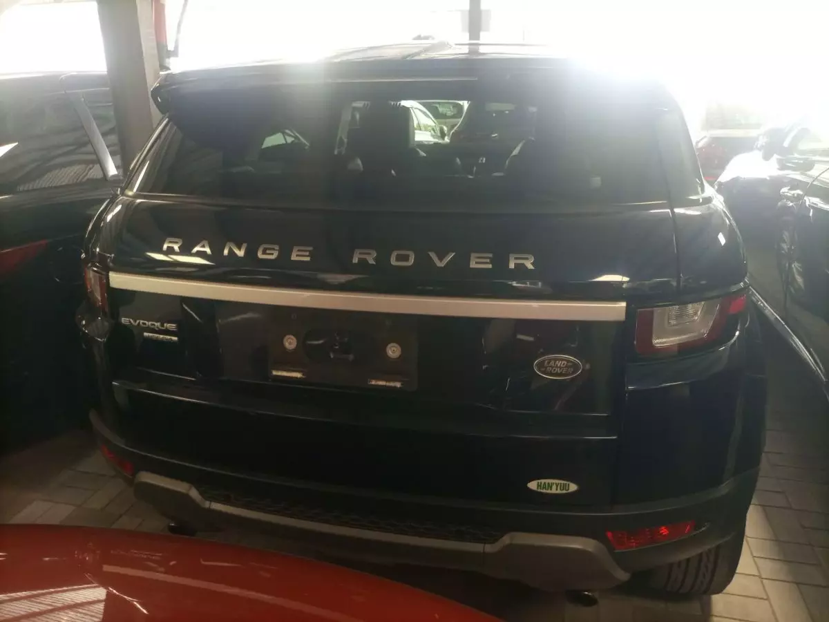 car Back