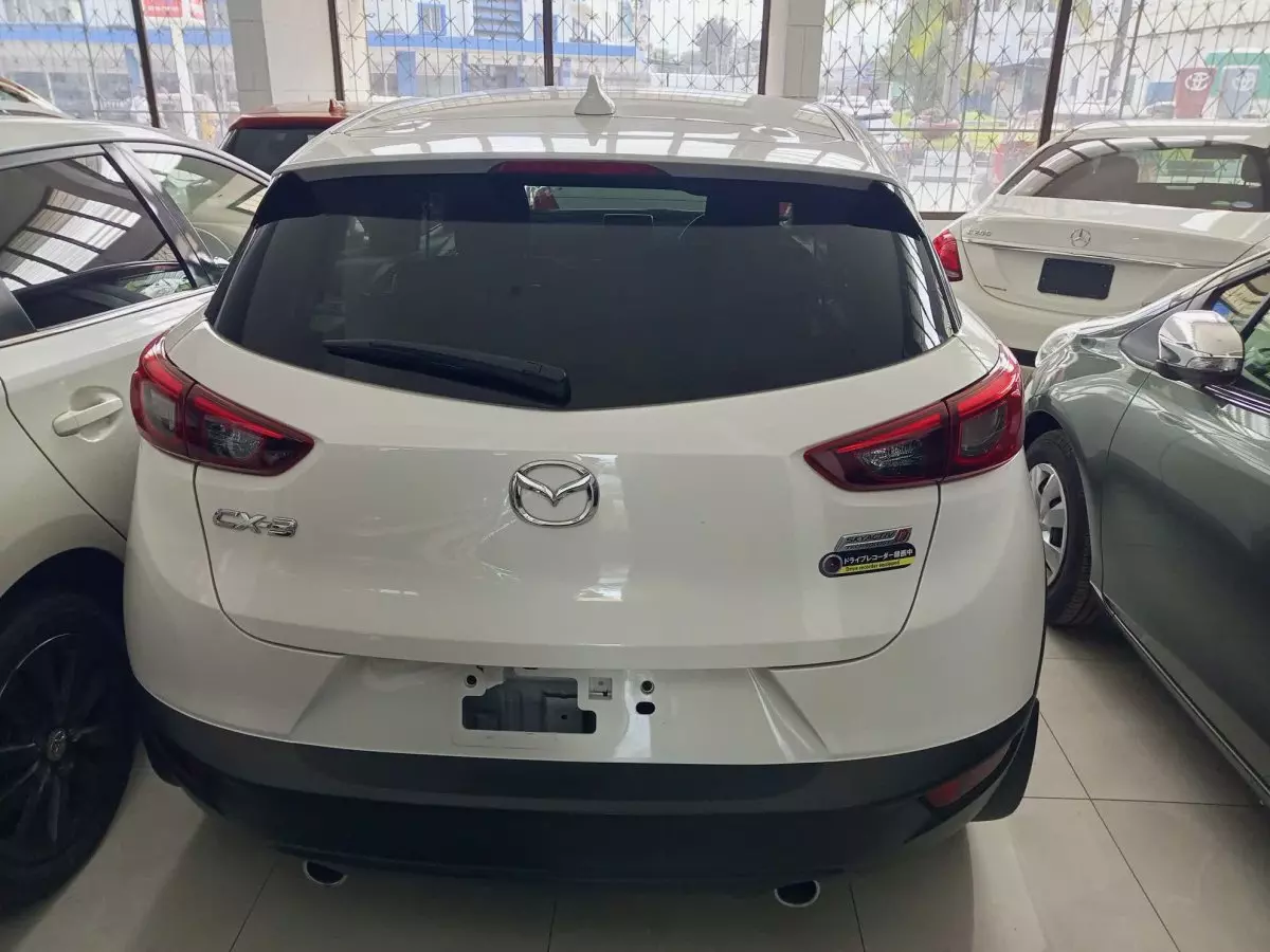 car Back
