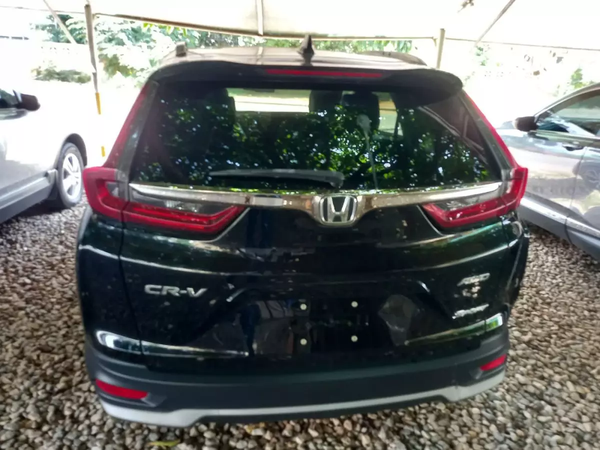 car Back