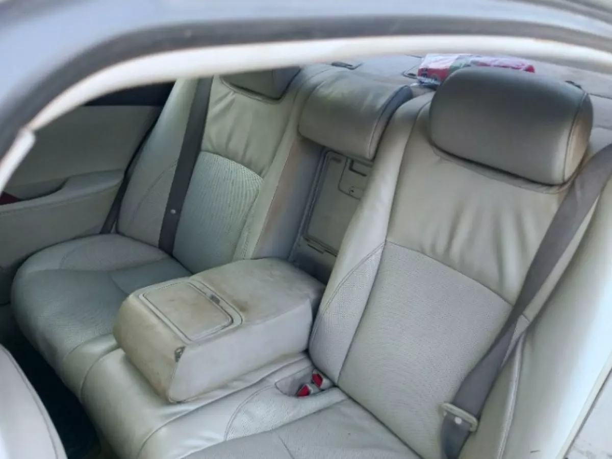 interiorBack