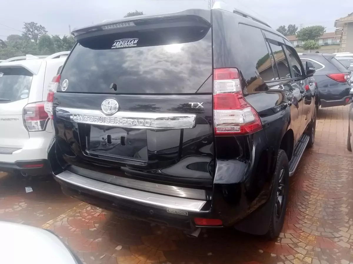 car Back