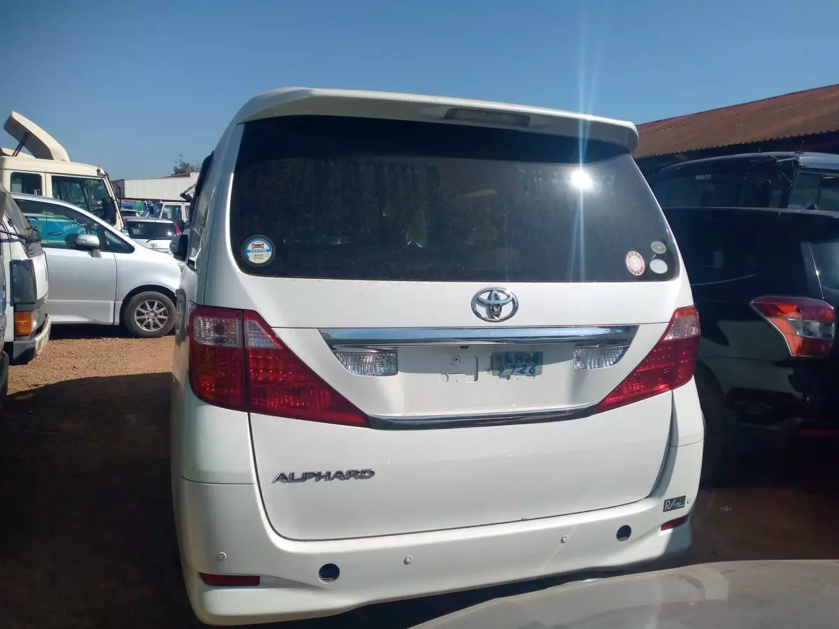 car Back