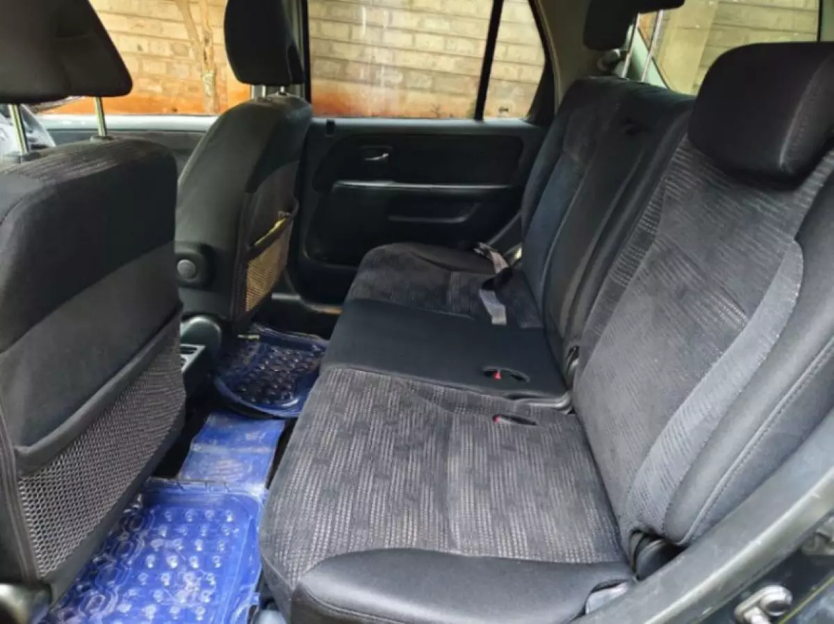 interiorBack