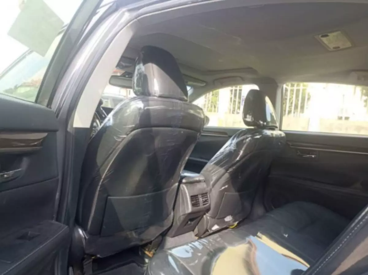 interiorBack