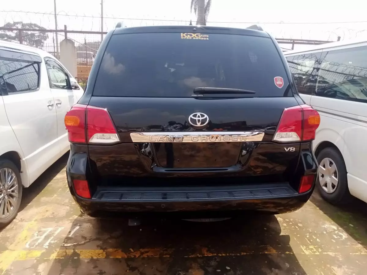 car Back
