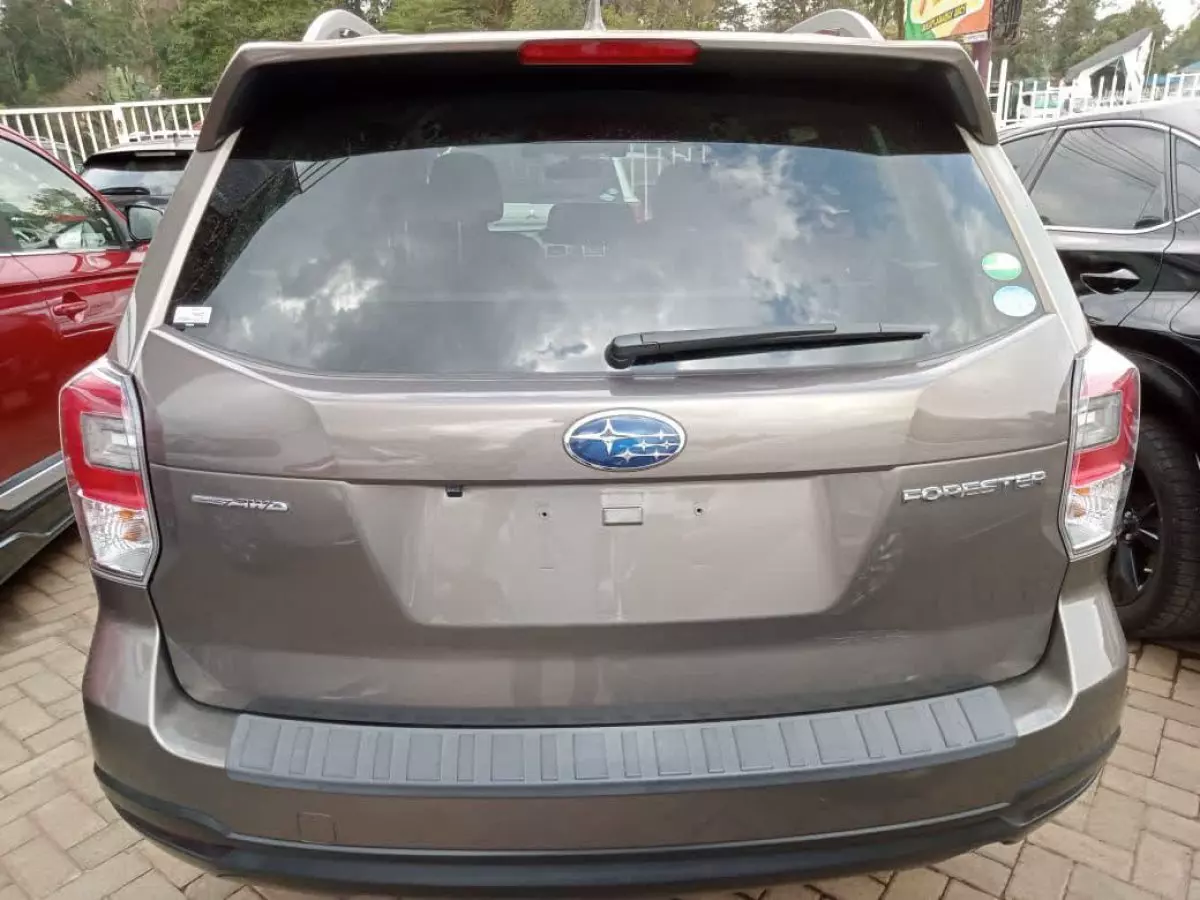 car Back