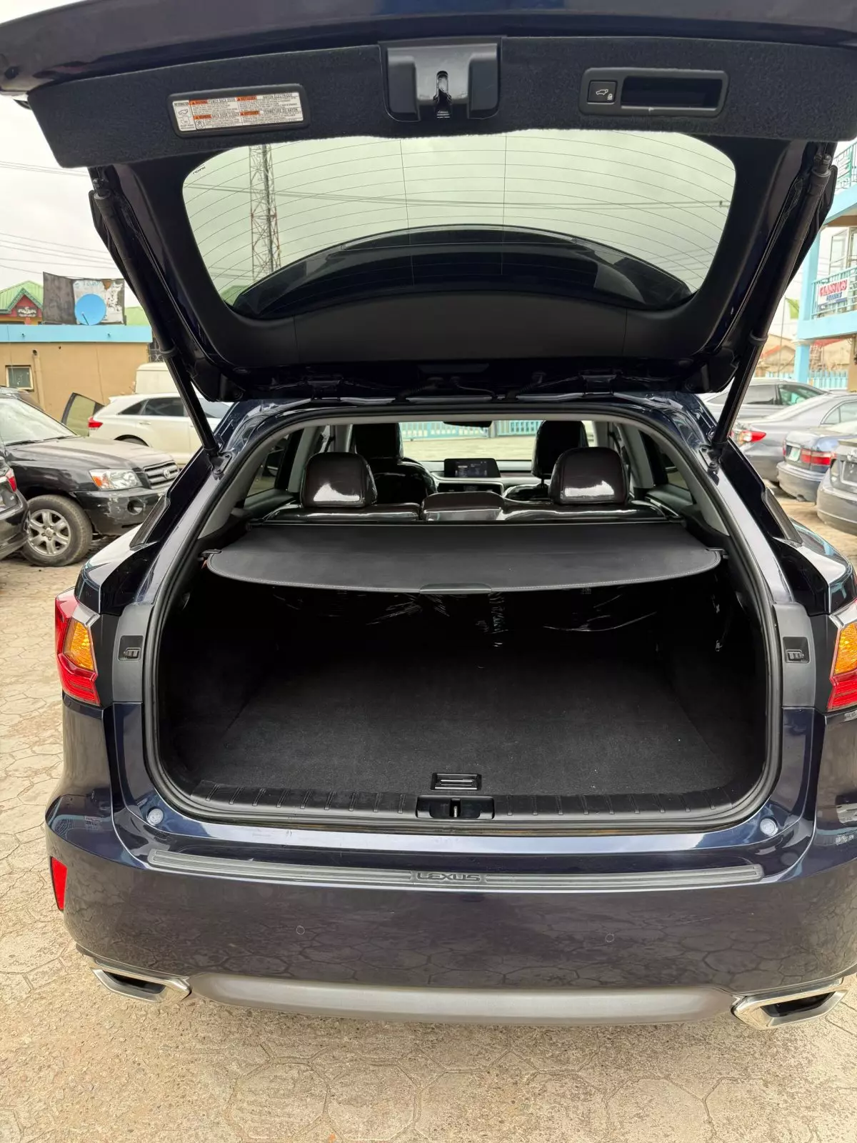 trunk