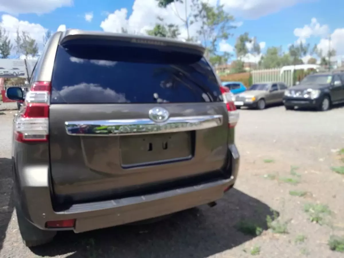 car Back