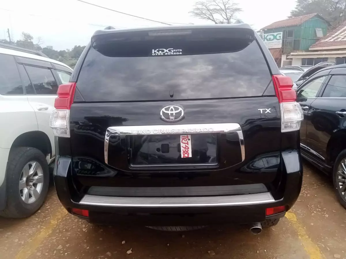 car Back