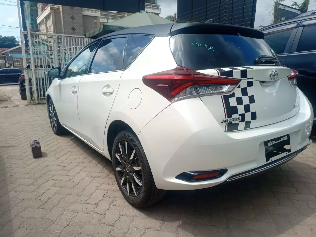 car Left Back