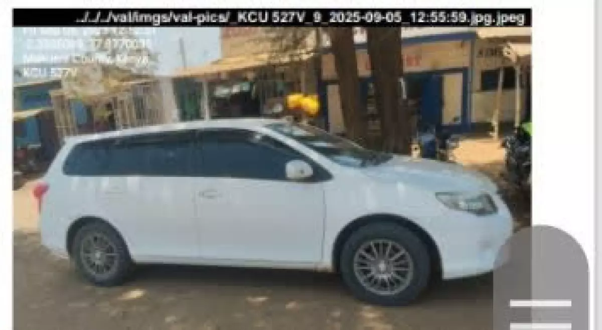 car Left Back