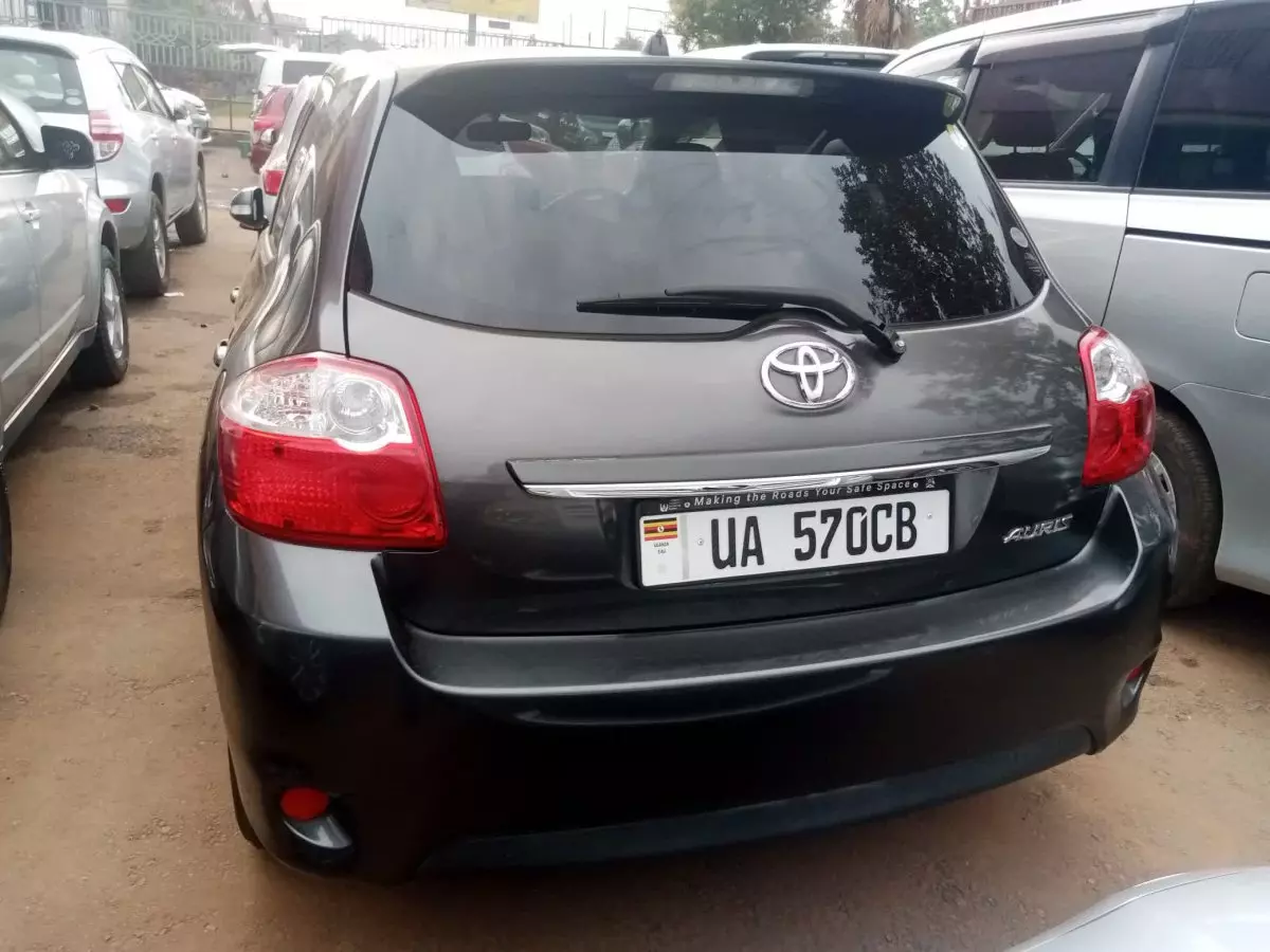 car Back
