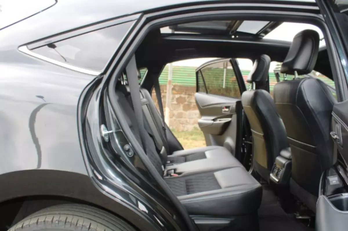 interiorBack