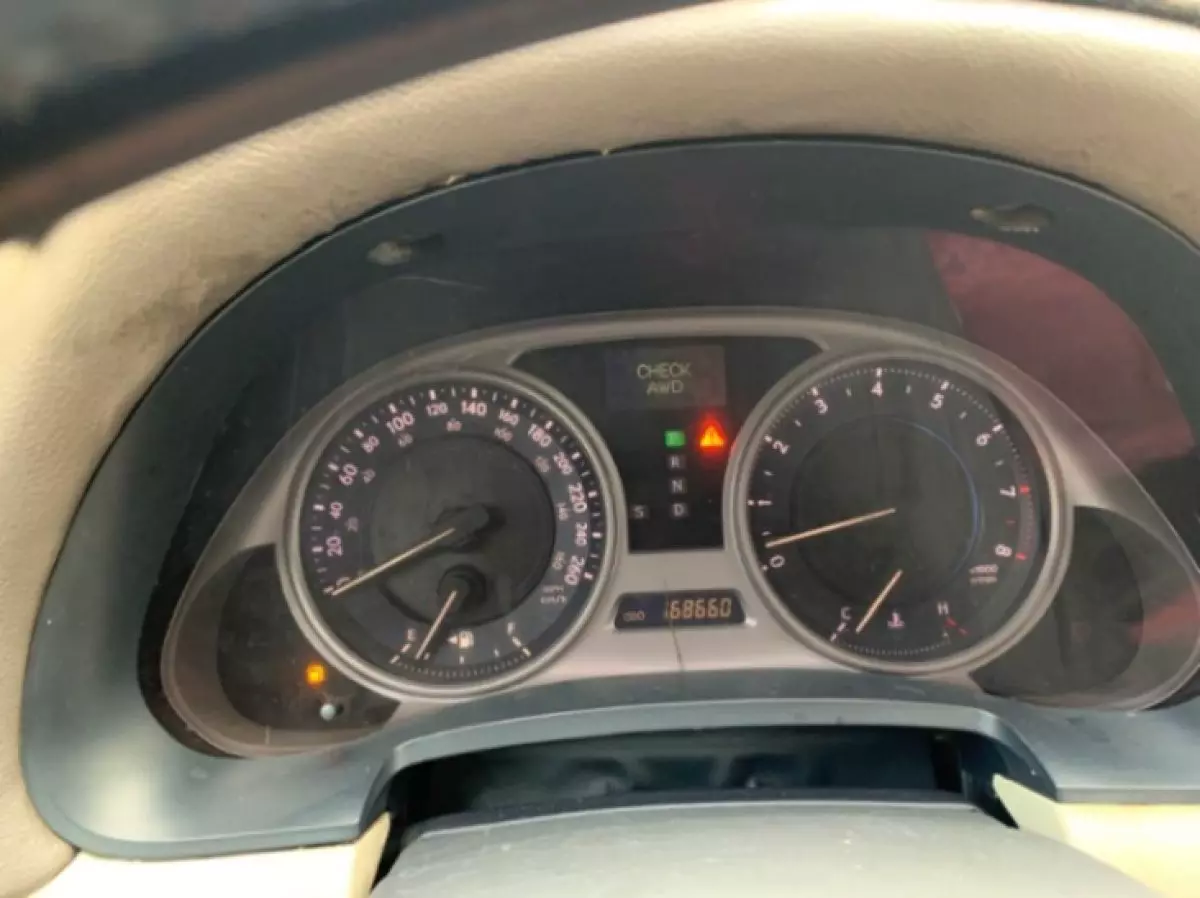 interiorBack