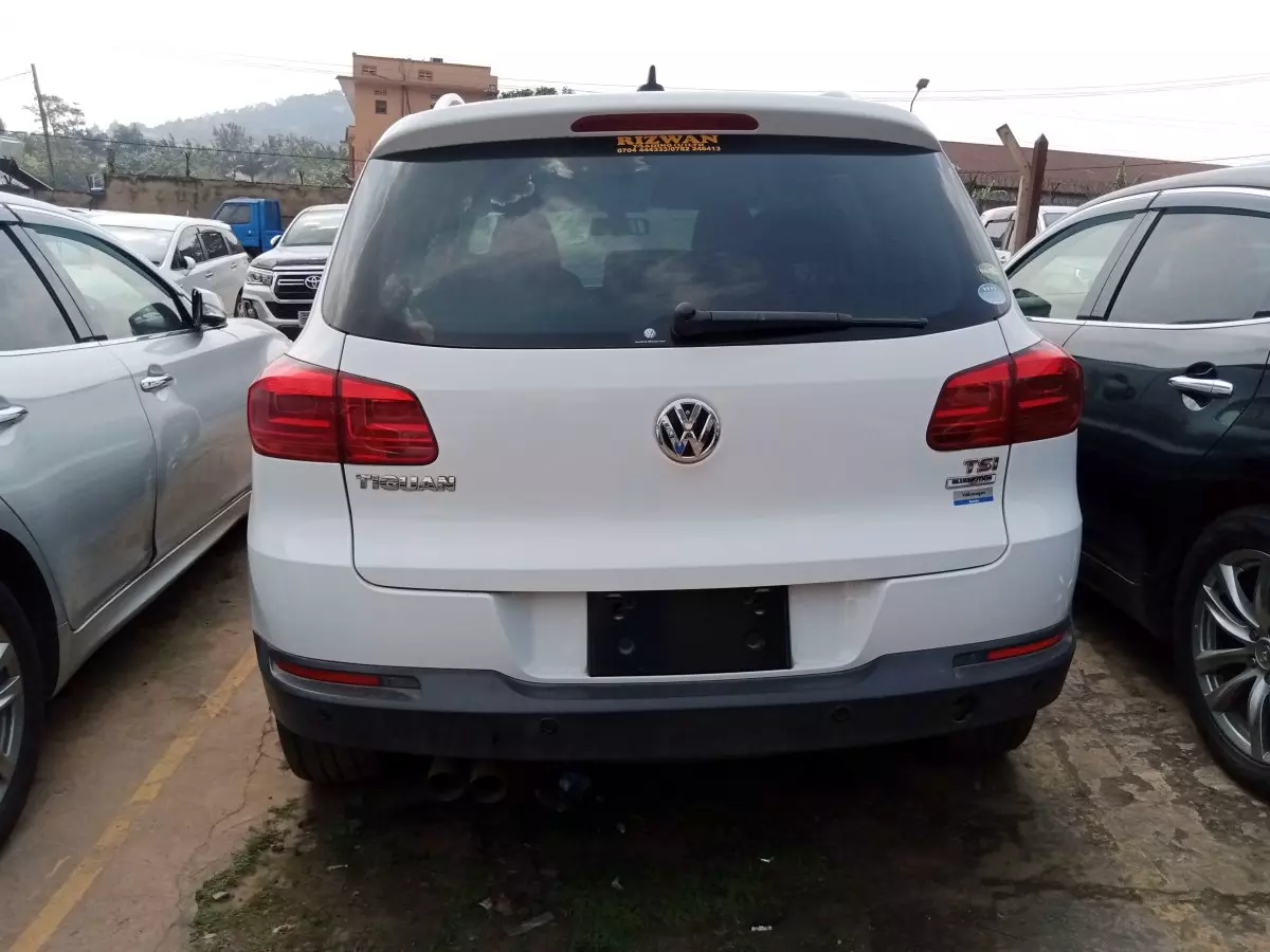 car Back