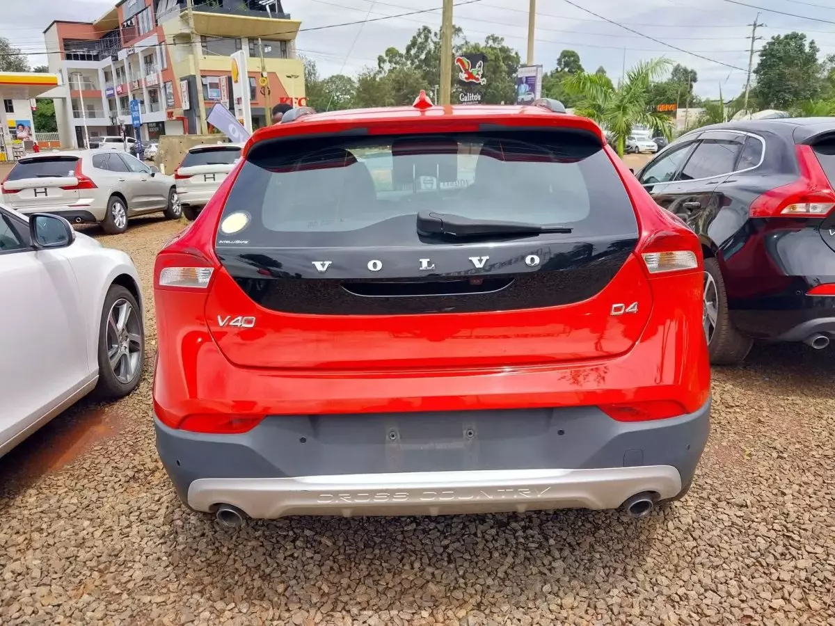 car Back
