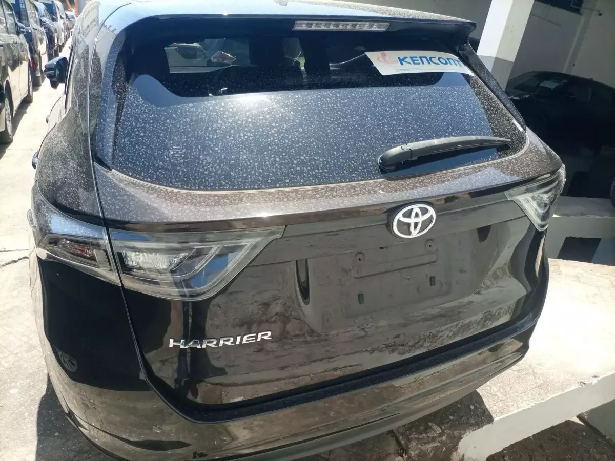 car Back