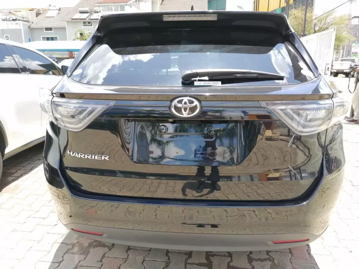 car Back