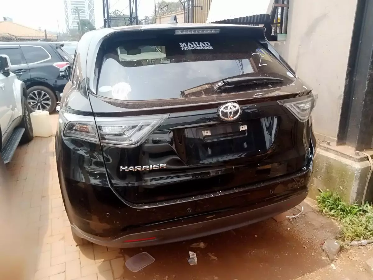 car Back