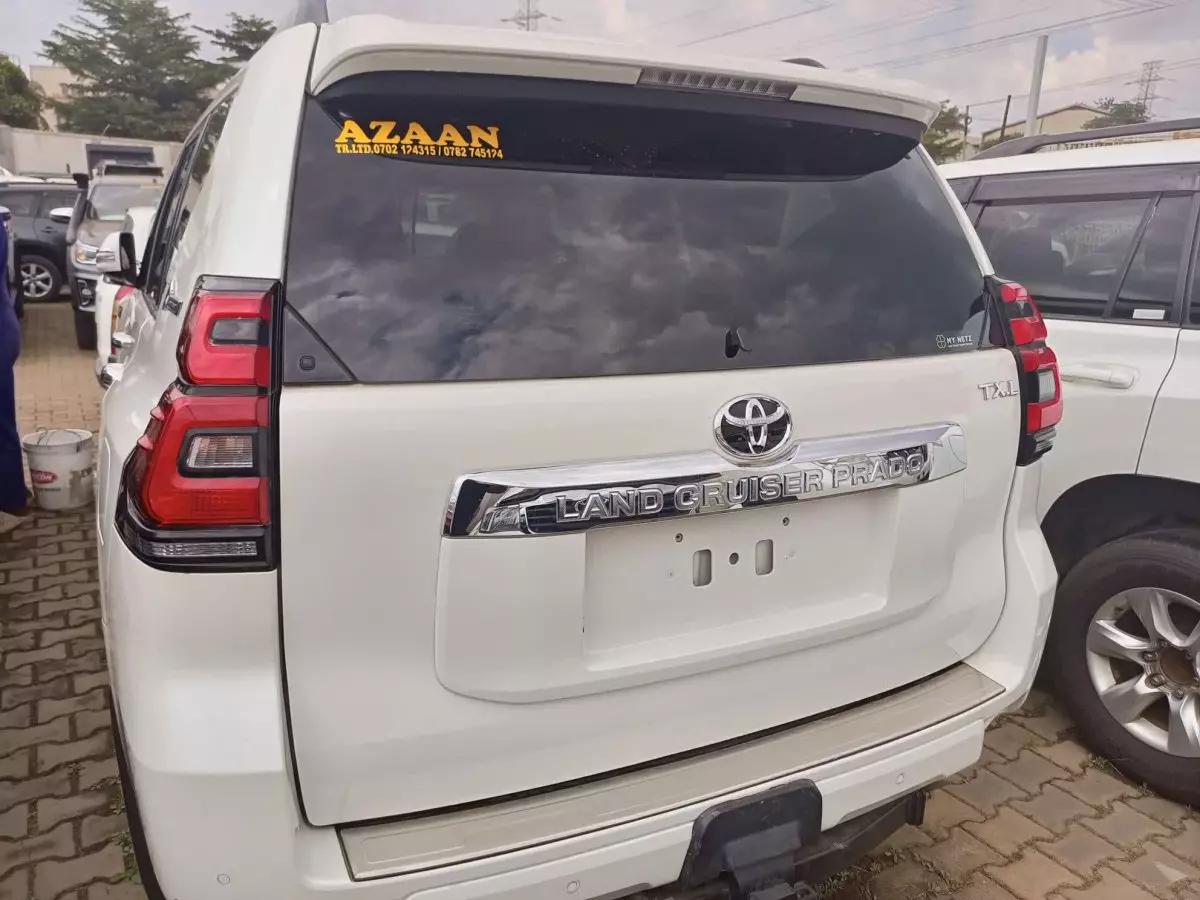 car Back
