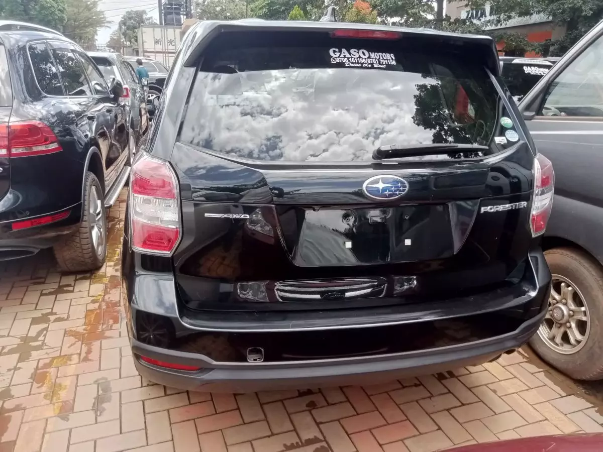 car Back