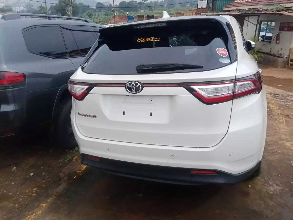 car Back