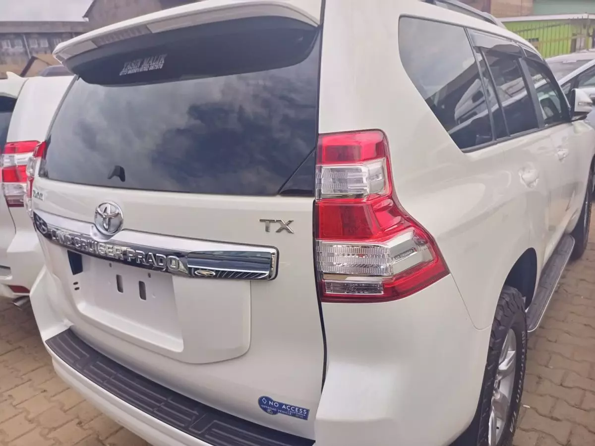 car Back