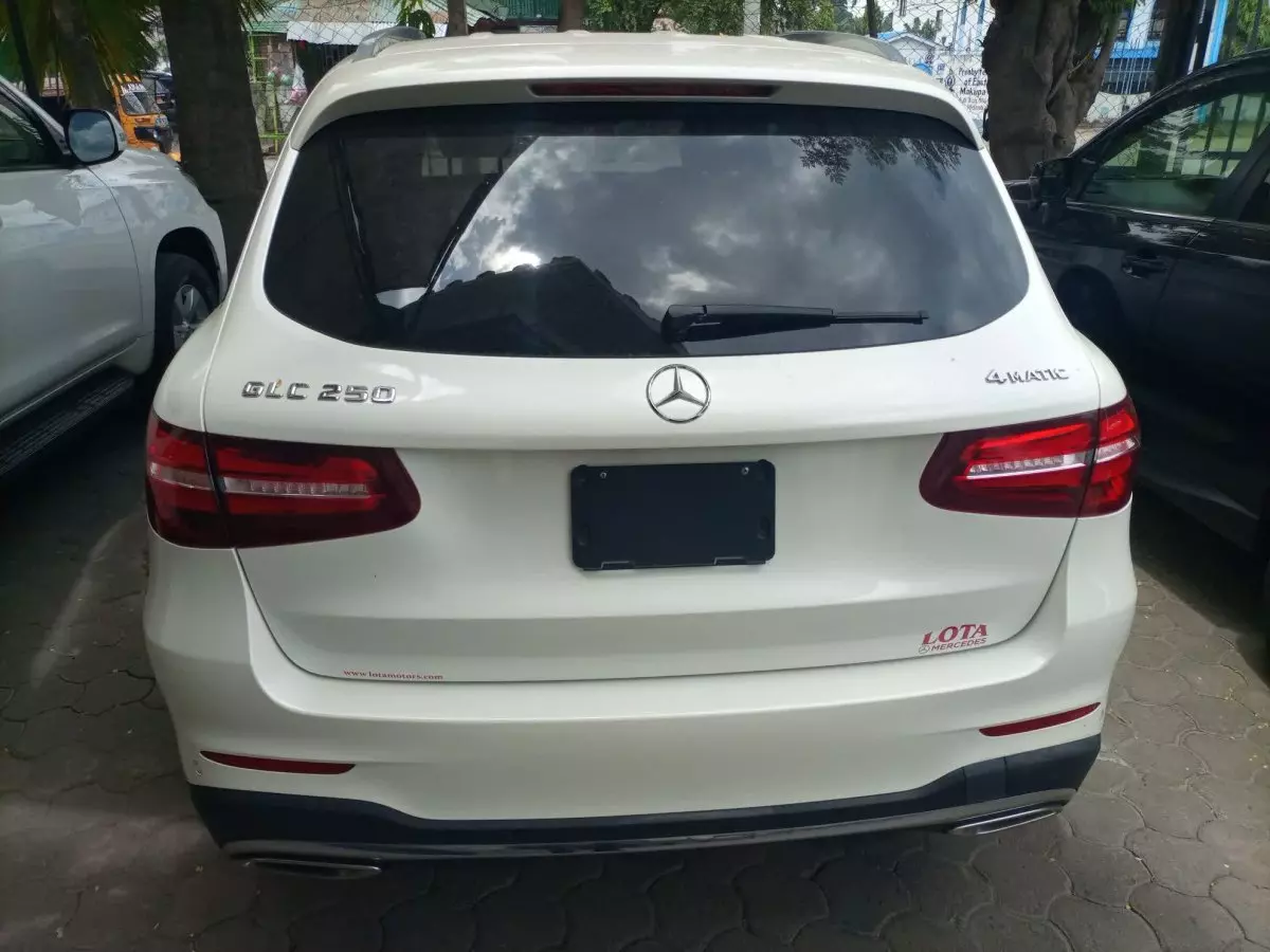 car Back