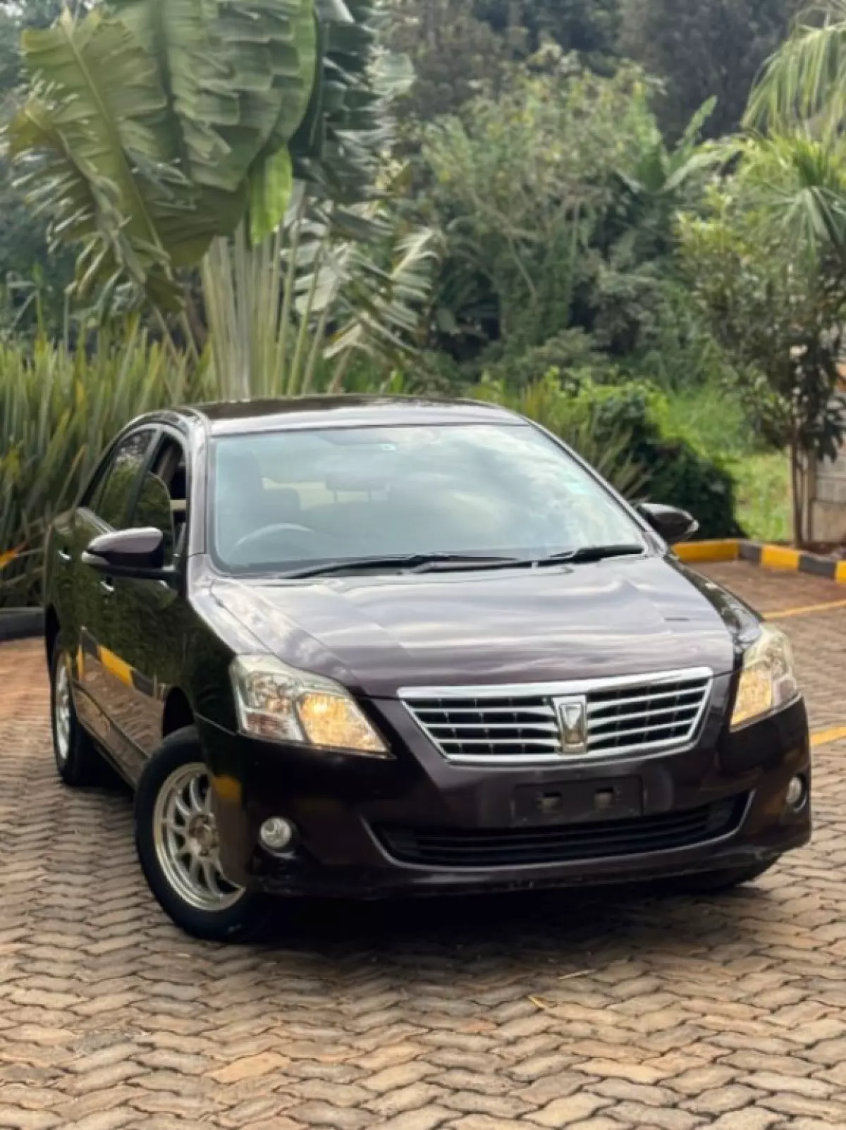Toyota Premio  - 2015
