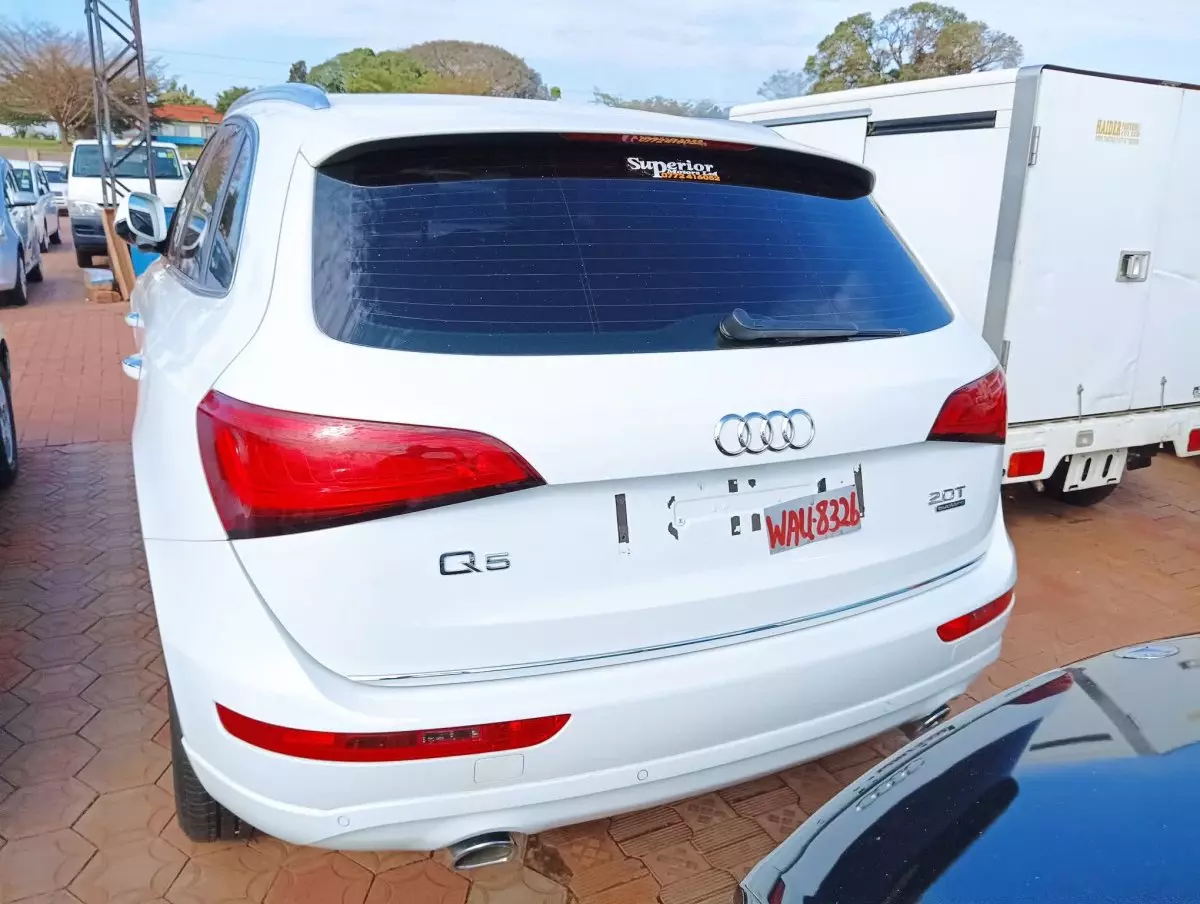 car Back