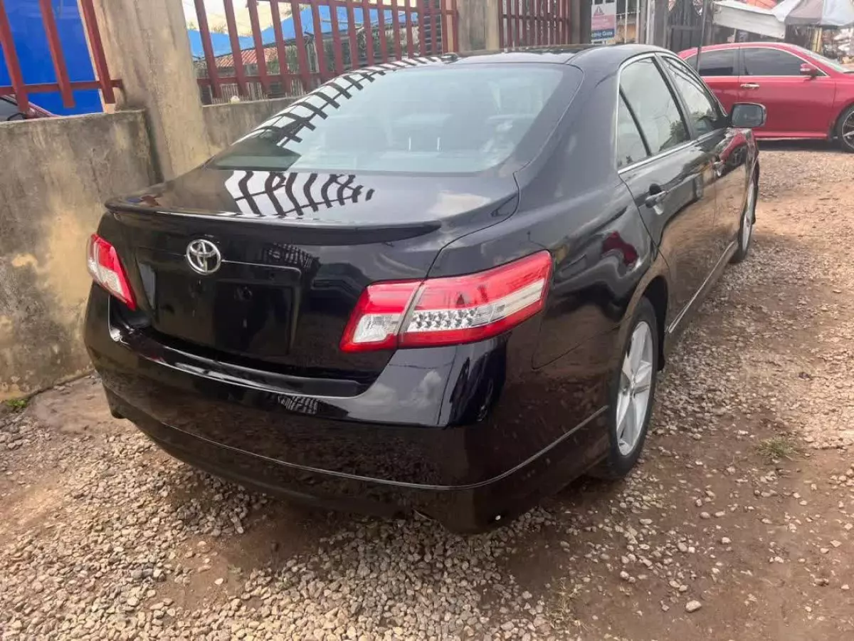 car Back