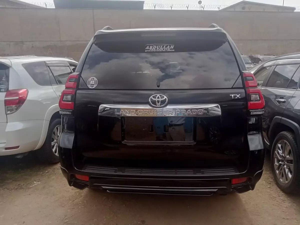 car Back