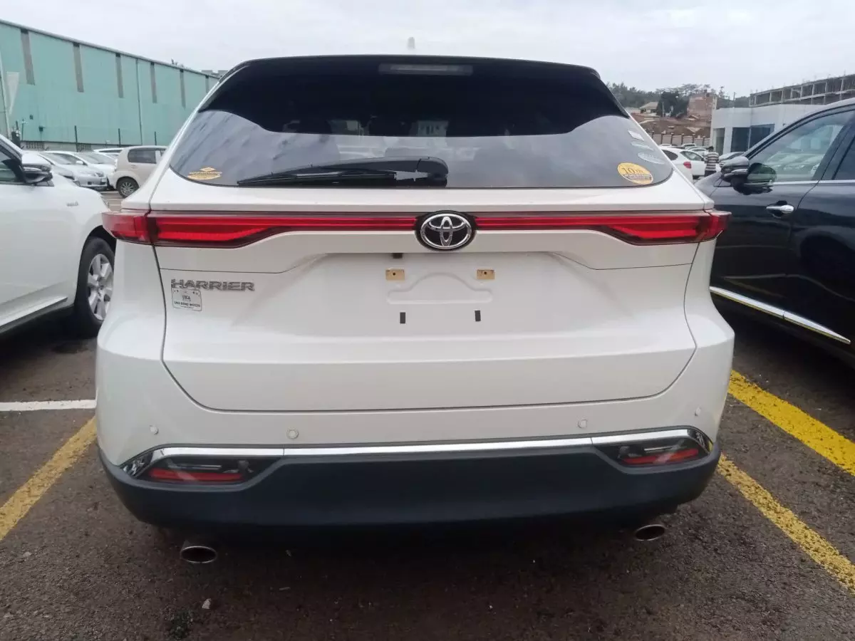 car Back