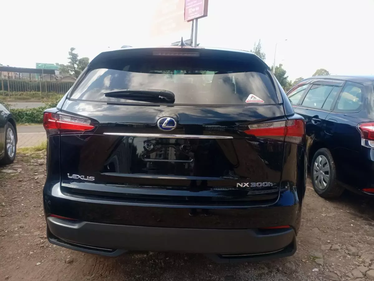 car Back