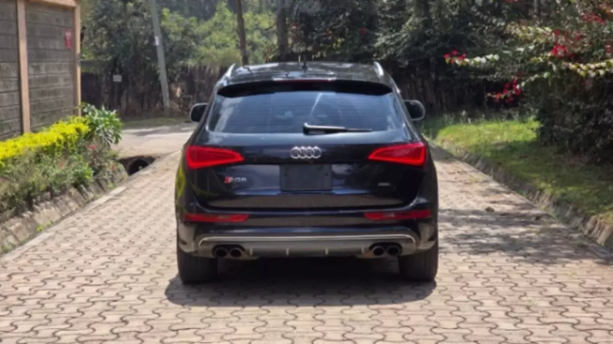 back