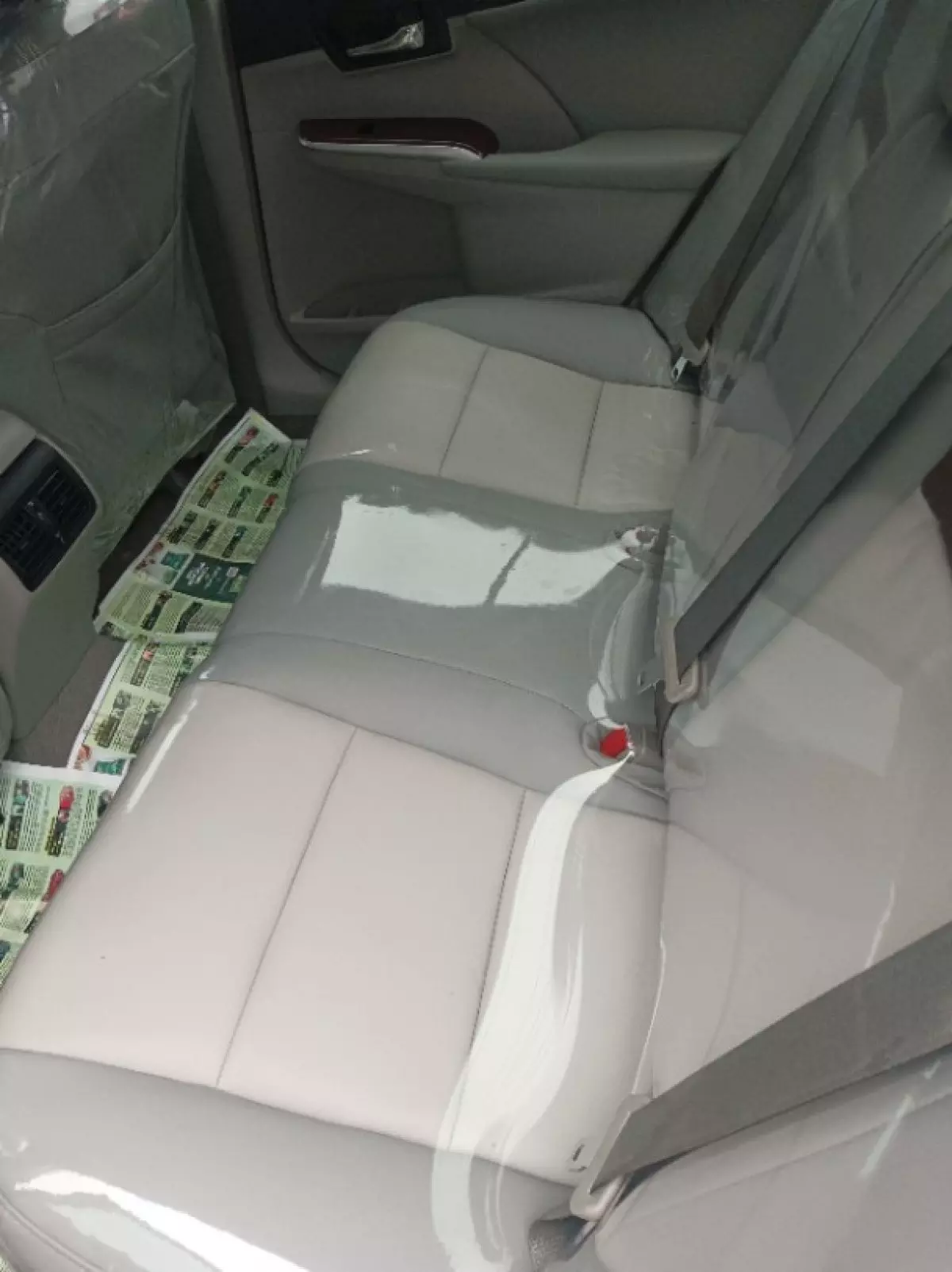 interiorBack