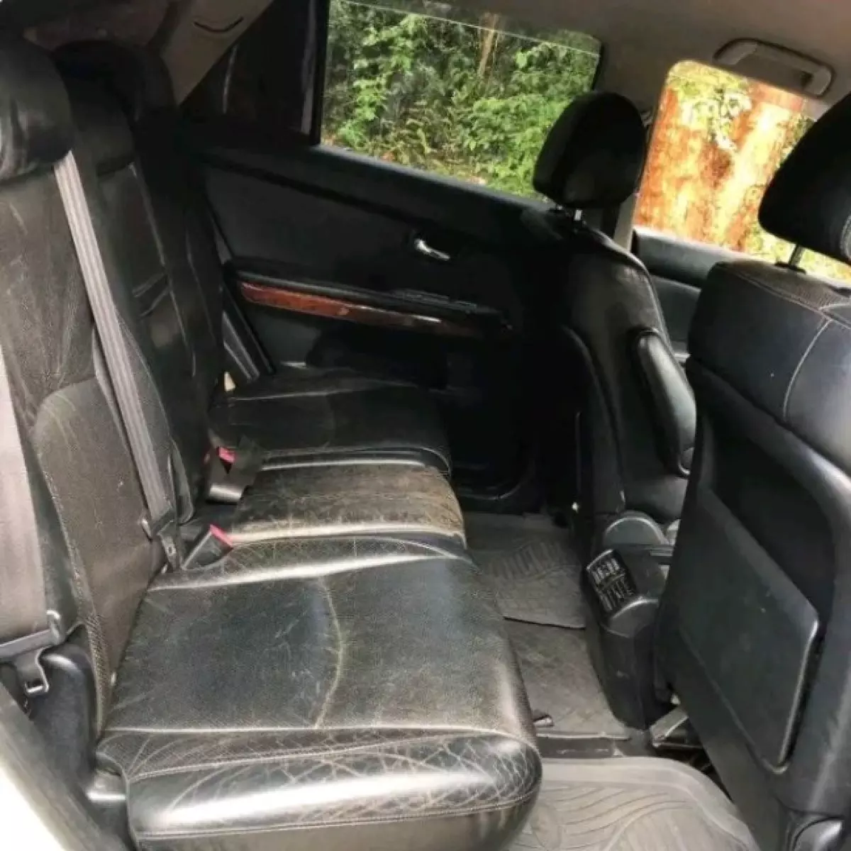 interiorBack
