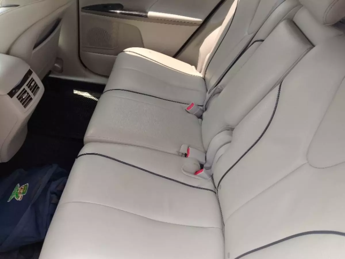 interiorBack