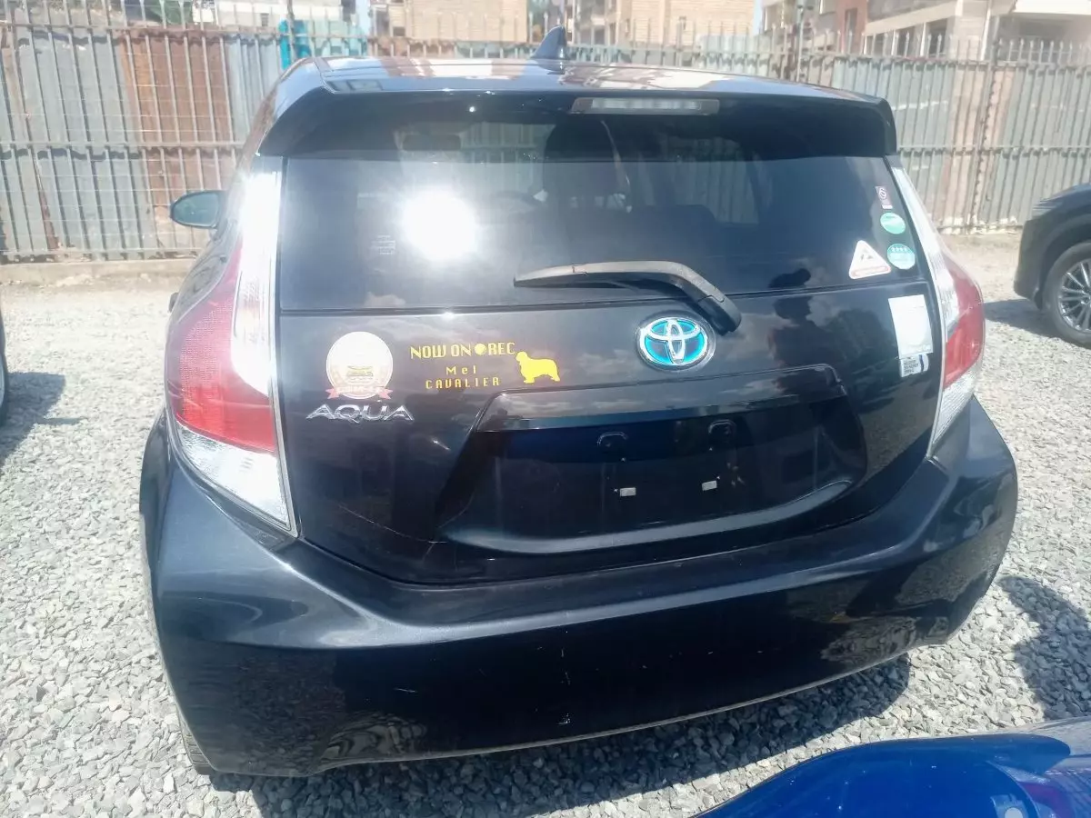 car Back