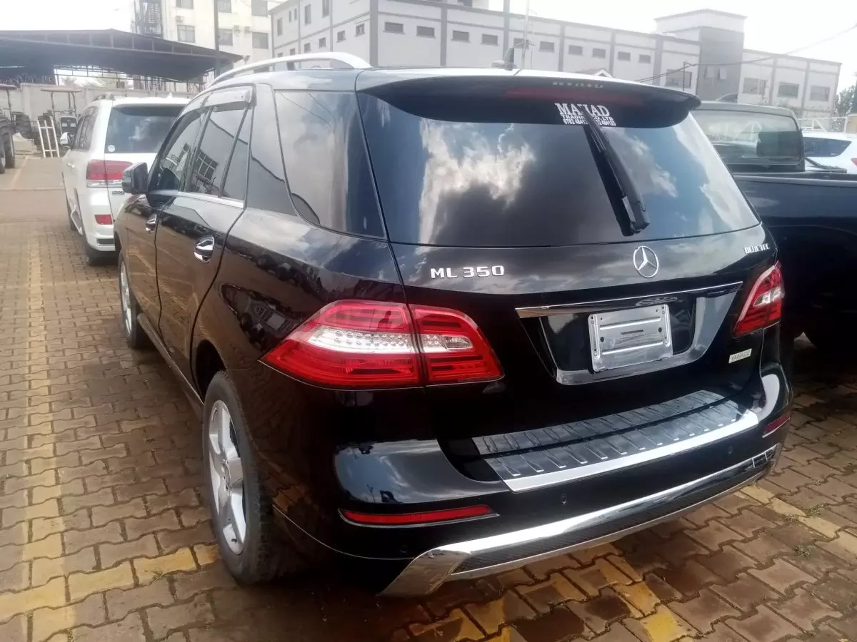 car Left Back
