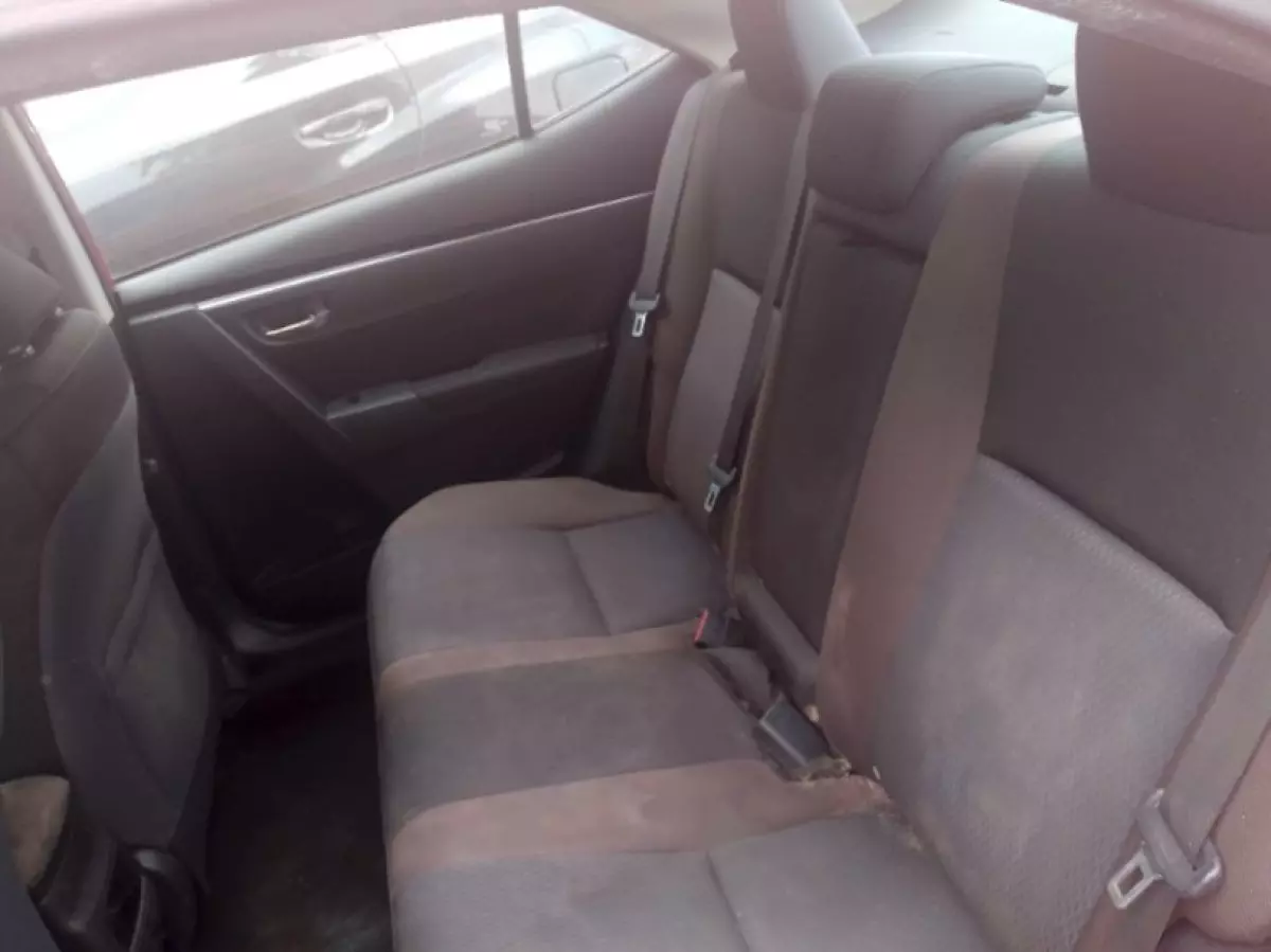 interiorBack