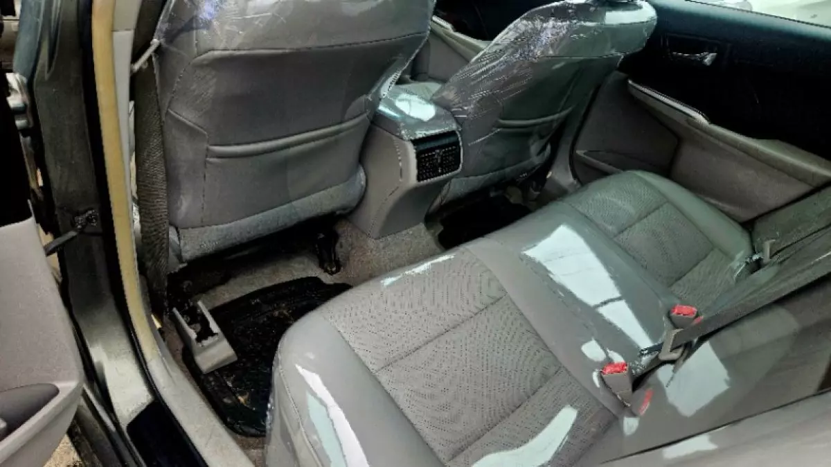 interiorBack
