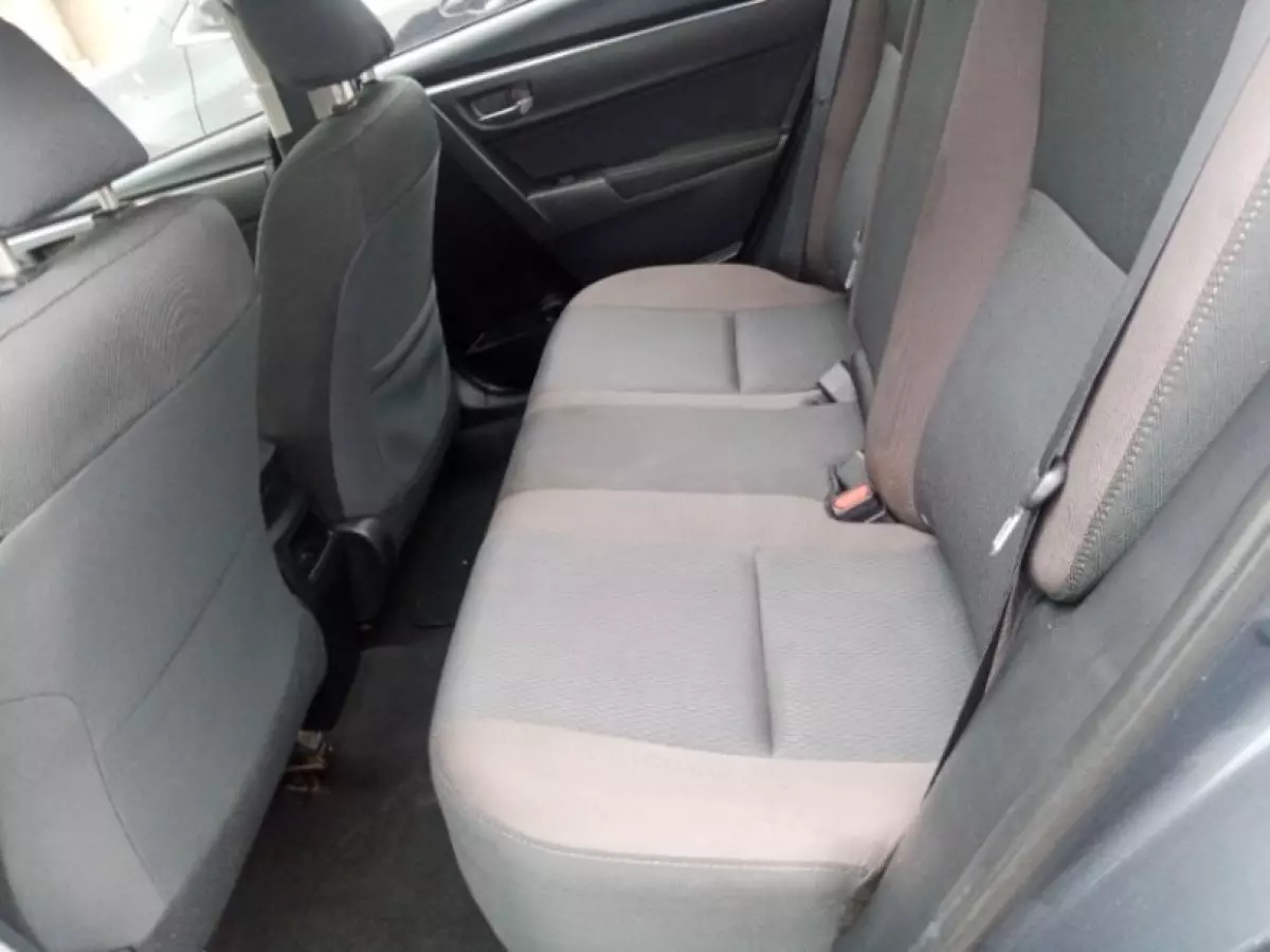 interiorBack