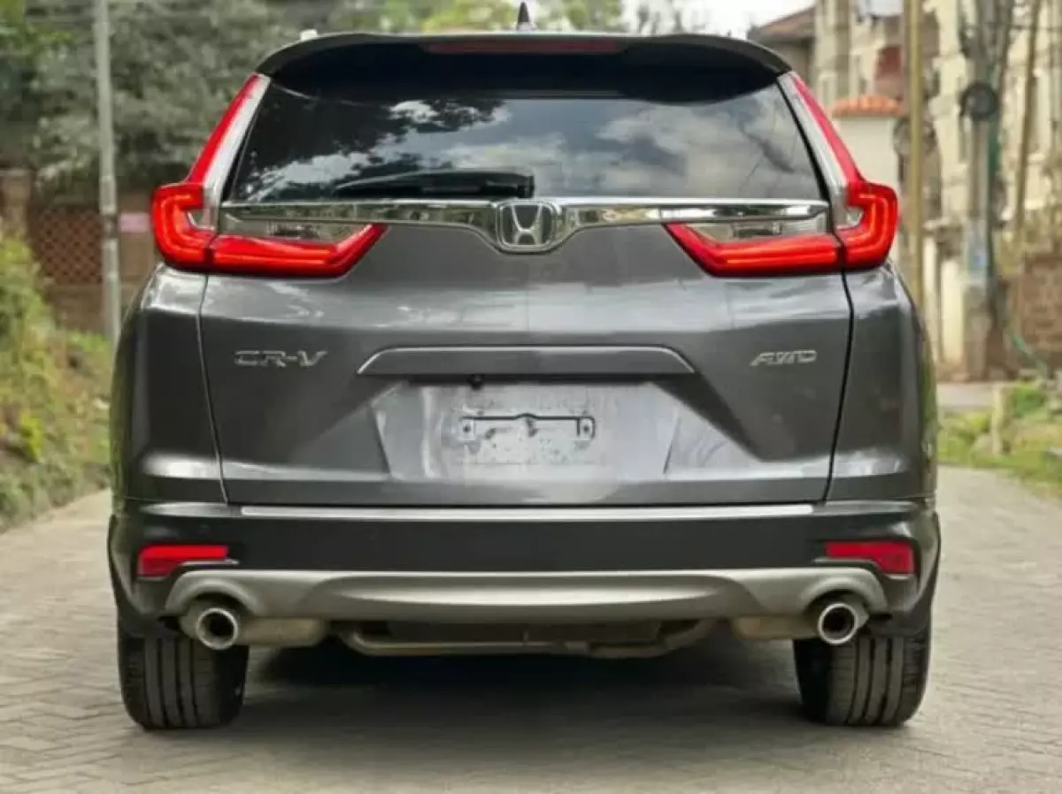 back