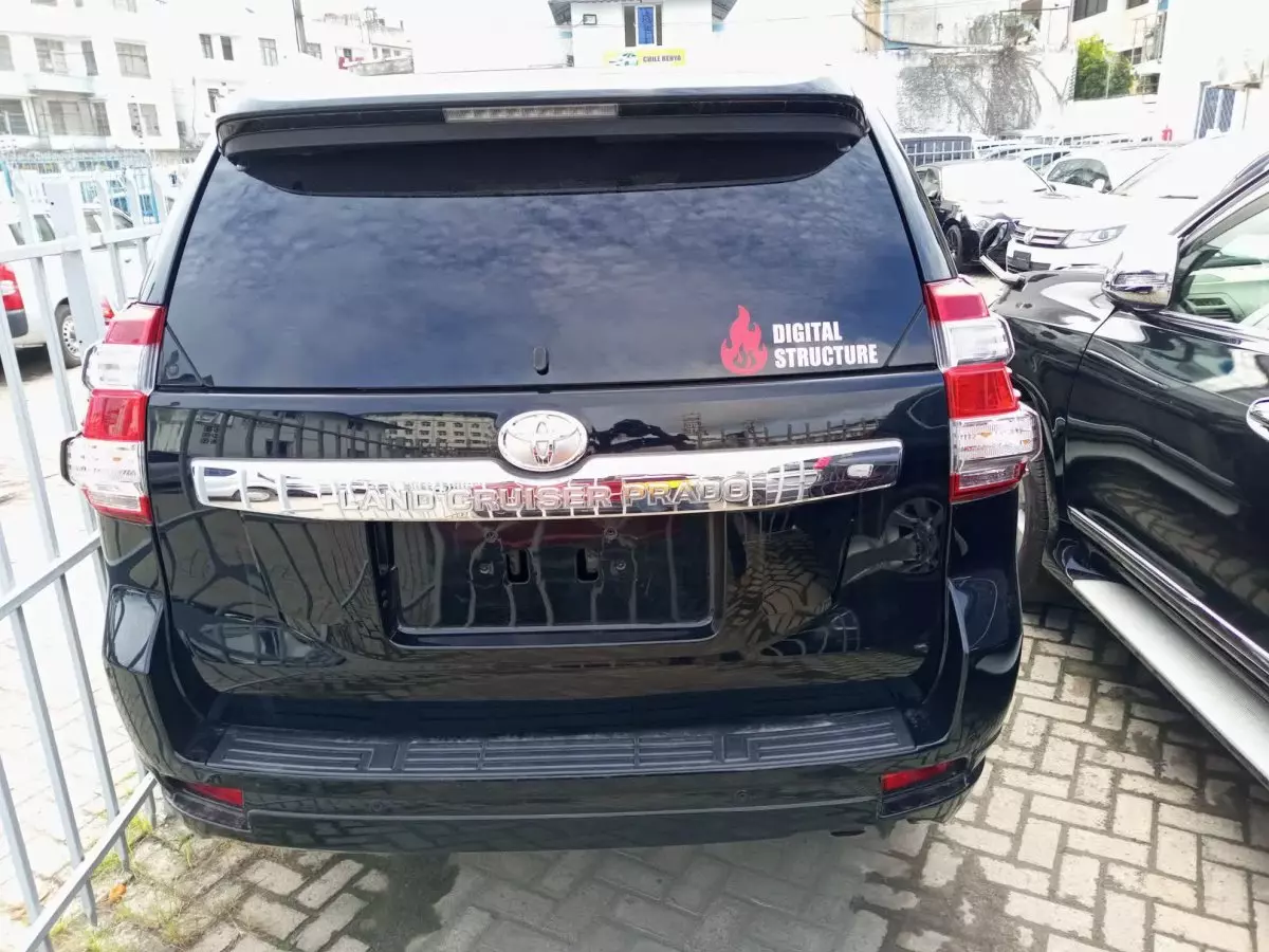 car Back