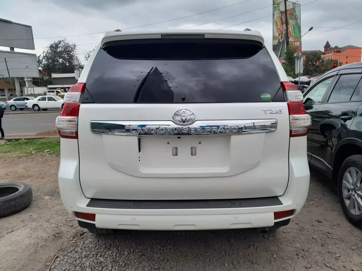 car Back